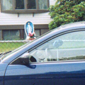 Click to enlarge thumbnail