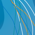 Click to enlarge thumbnail