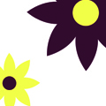 Click to enlarge thumbnail
